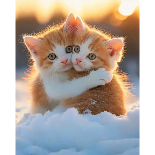Hugging cats