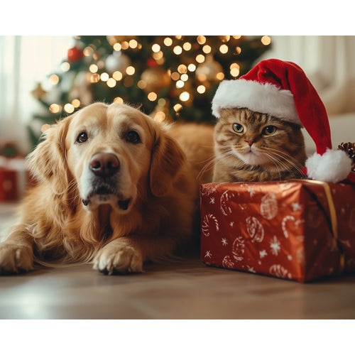 Cat and dog at Christmas