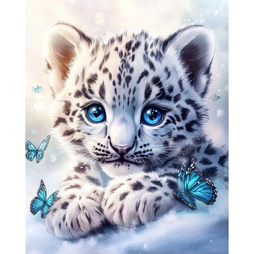 Baby leopard with blue eyes