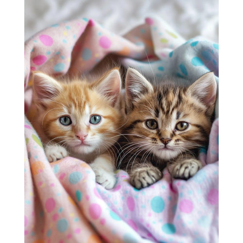 Kittens under the blankets