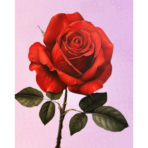 Beautiful rose