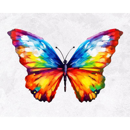 Colorful Butterfly